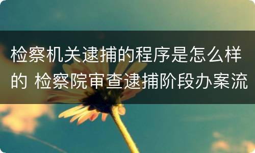 检察机关逮捕的程序是怎么样的 检察院审查逮捕阶段办案流程