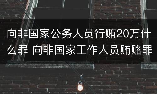 向非国家公务人员行贿20万什么罪 向非国家工作人员贿赂罪