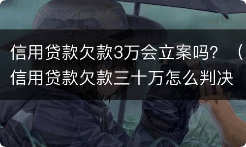 信用贷款欠款3万会立案吗？（信用贷款欠款三十万怎么判决）