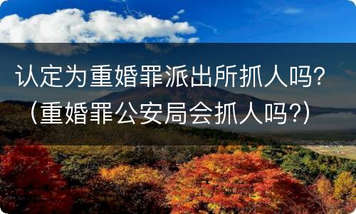 认定为重婚罪派出所抓人吗？（重婚罪公安局会抓人吗?）