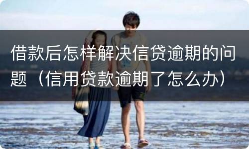 借款后怎样解决信贷逾期的问题（信用贷款逾期了怎么办）