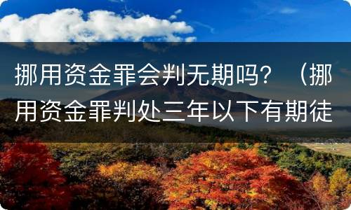 挪用资金罪会判无期吗？（挪用资金罪判处三年以下有期徒刑）