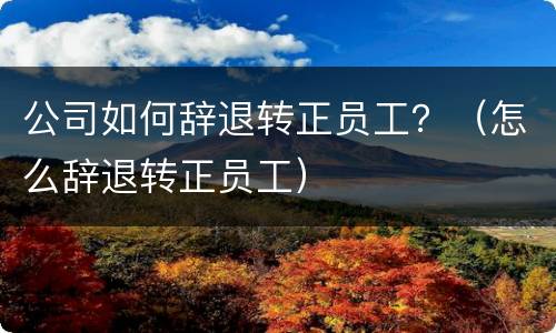 公司如何辞退转正员工？（怎么辞退转正员工）