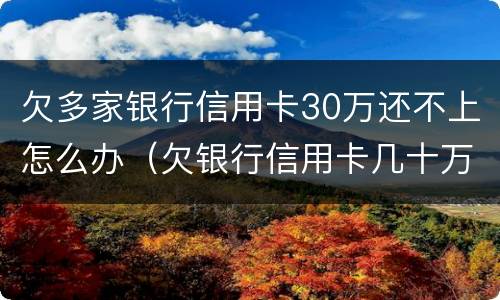 欠多家银行信用卡30万还不上怎么办（欠银行信用卡几十万还不上怎么办）