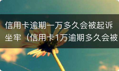 信用卡逾期一万多久会被起诉坐牢（信用卡1万逾期多久会被起诉会坐牢么）