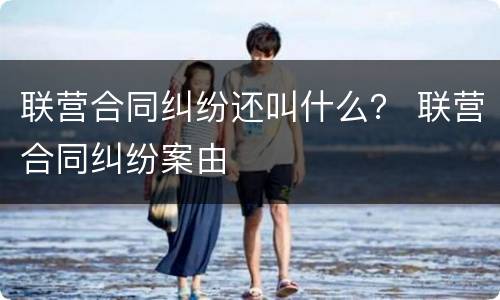 联营合同纠纷还叫什么？ 联营合同纠纷案由