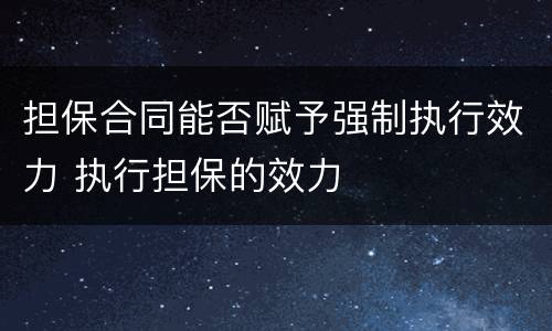 担保合同能否赋予强制执行效力 执行担保的效力