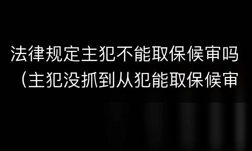 法律规定主犯不能取保候审吗（主犯没抓到从犯能取保候审吗）