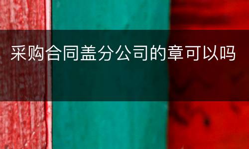 采购合同盖分公司的章可以吗