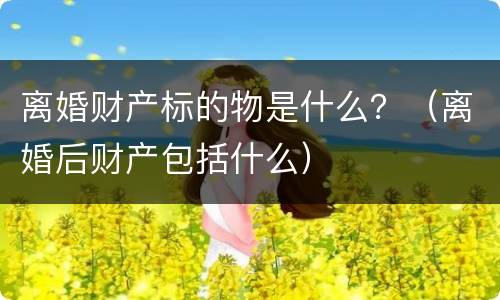 离婚财产标的物是什么？（离婚后财产包括什么）
