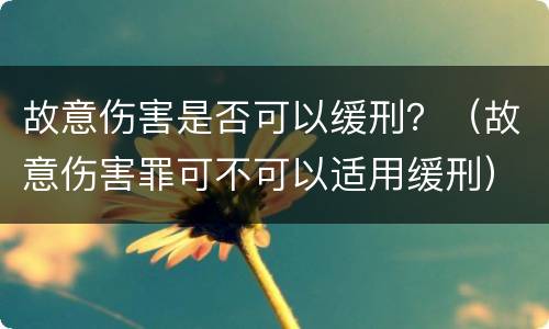 故意伤害是否可以缓刑？（故意伤害罪可不可以适用缓刑）