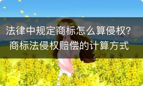 法律中规定商标怎么算侵权？ 商标法侵权赔偿的计算方式