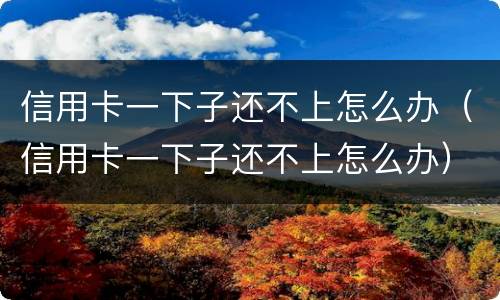 信用卡一下子还不上怎么办（信用卡一下子还不上怎么办）