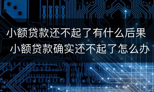 小额贷款还不起了有什么后果 小额贷款确实还不起了怎么办