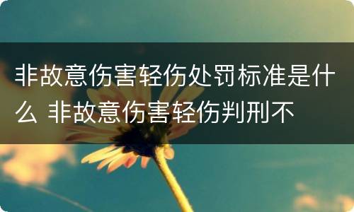非故意伤害轻伤处罚标准是什么 非故意伤害轻伤判刑不