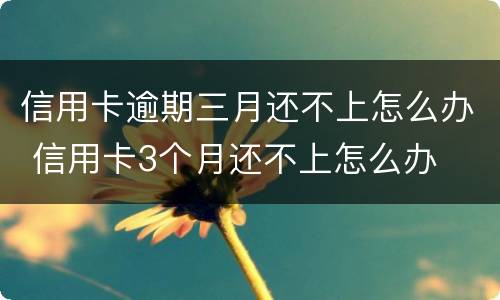 信用卡逾期三月还不上怎么办 信用卡3个月还不上怎么办