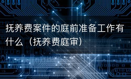 抚养费案件的庭前准备工作有什么（抚养费庭审）