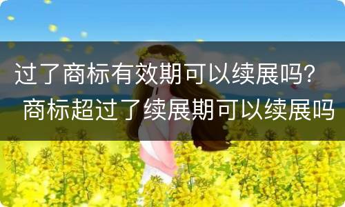 过了商标有效期可以续展吗？ 商标超过了续展期可以续展吗
