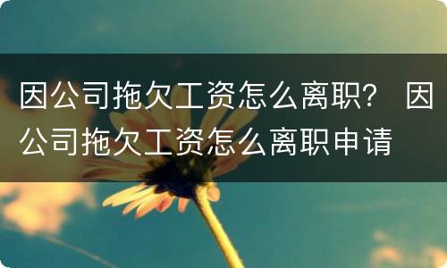 因公司拖欠工资怎么离职？ 因公司拖欠工资怎么离职申请