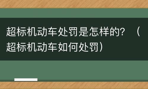 超标机动车处罚是怎样的？（超标机动车如何处罚）