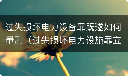 过失损坏电力设备罪既遂如何量刑（过失损坏电力设施罪立案标准）