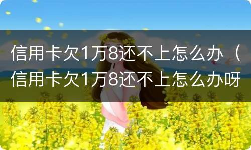 信用卡欠1万8还不上怎么办（信用卡欠1万8还不上怎么办呀）