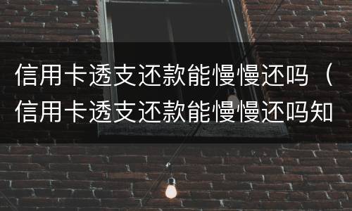 信用卡透支还款能慢慢还吗（信用卡透支还款能慢慢还吗知乎）