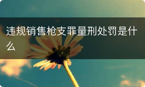 违规销售枪支罪量刑处罚是什么