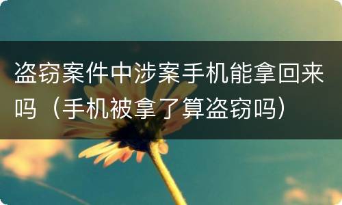 盗窃案件中涉案手机能拿回来吗（手机被拿了算盗窃吗）