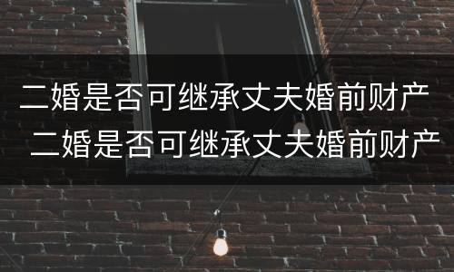 二婚是否可继承丈夫婚前财产 二婚是否可继承丈夫婚前财产给妻子