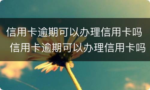 信用卡逾期可以办理信用卡吗 信用卡逾期可以办理信用卡吗