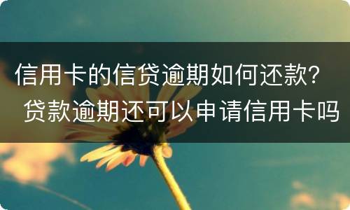 信用卡的信贷逾期如何还款？ 贷款逾期还可以申请信用卡吗