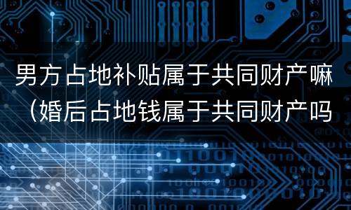 男方占地补贴属于共同财产嘛（婚后占地钱属于共同财产吗）