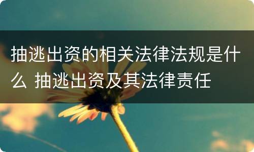 抽逃出资的相关法律法规是什么 抽逃出资及其法律责任