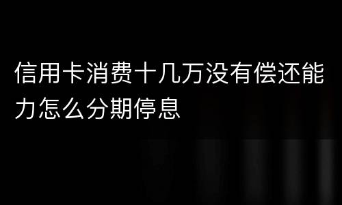 信用卡消费十几万没有偿还能力怎么分期停息