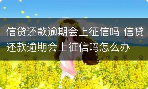信贷还款逾期会上征信吗 信贷还款逾期会上征信吗怎么办