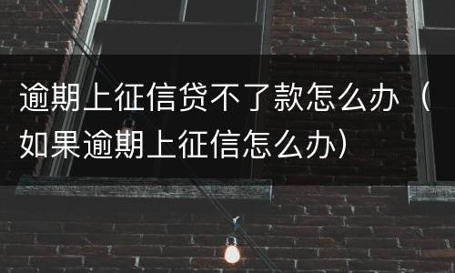 逾期上征信贷不了款怎么办（如果逾期上征信怎么办）