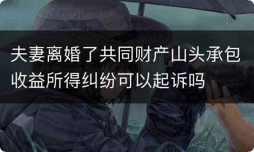 夫妻离婚了共同财产山头承包收益所得纠纷可以起诉吗