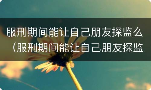 服刑期间能让自己朋友探监么（服刑期间能让自己朋友探监么嘛）