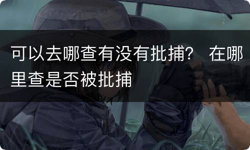 可以去哪查有没有批捕？ 在哪里查是否被批捕