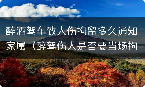 醉酒驾车致人伤拘留多久通知家属（醉驾伤人是否要当场拘留）