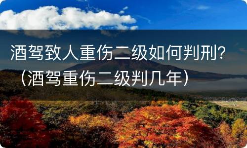 酒驾致人重伤二级如何判刑？（酒驾重伤二级判几年）