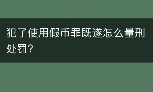 犯了使用假币罪既遂怎么量刑处罚?