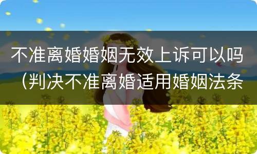 不准离婚婚姻无效上诉可以吗（判决不准离婚适用婚姻法条）
