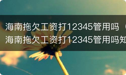 海南拖欠工资打12345管用吗（海南拖欠工资打12345管用吗知乎）