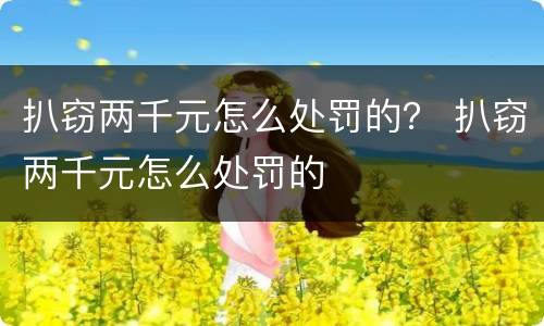 扒窃两千元怎么处罚的？ 扒窃两千元怎么处罚的