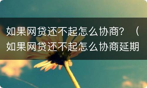 如果网贷还不起怎么协商？（如果网贷还不起怎么协商延期还款）