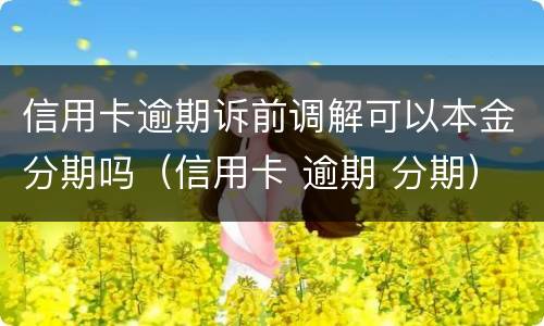 信用卡逾期诉前调解可以本金分期吗（信用卡 逾期 分期）