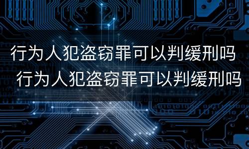 行为人犯盗窃罪可以判缓刑吗 行为人犯盗窃罪可以判缓刑吗知乎
