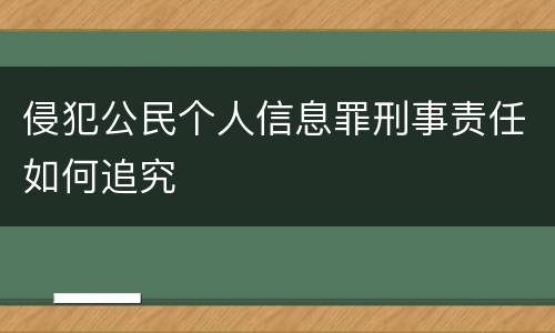 侵犯公民个人信息罪刑事责任如何追究